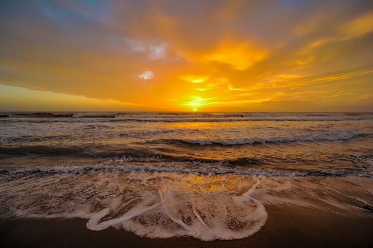 sunset-6387462_1280.jpg